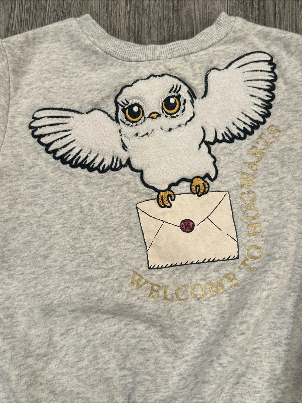 H&M Harry Potter Hedwig Sweatshirt Kids 5T 6 Gray Hogwarts Owl Applique